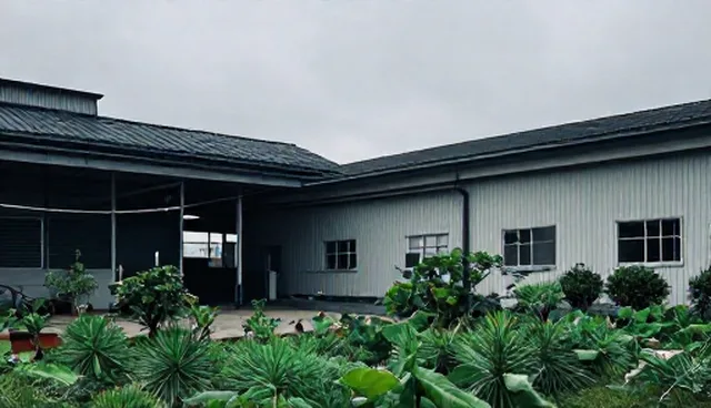 周末康复指导在医疗场景中的适用情况与限制
